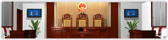 上海庭审全过程代理